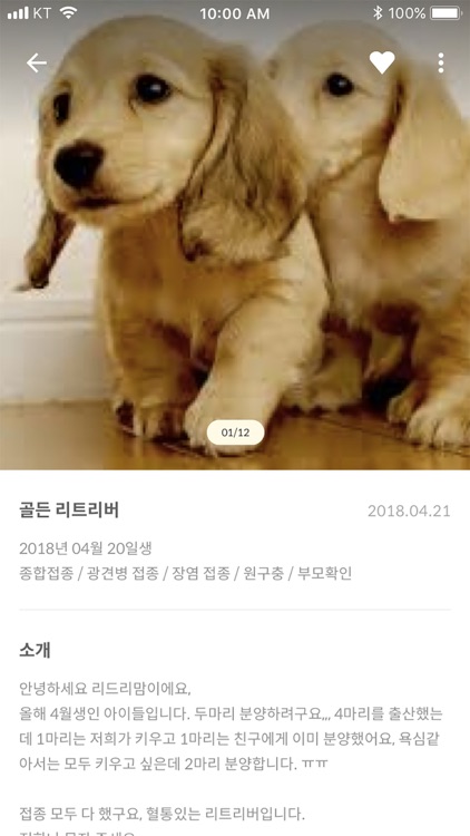 바닐라펫 - 세상의 모든 반려동물 분양 정보 screenshot-3