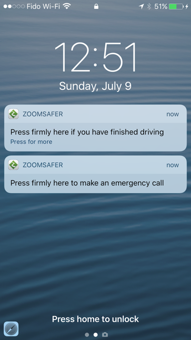 ZoomSafer screenshot 2
