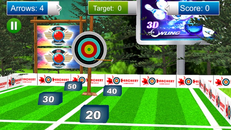 Archery Target Shooting