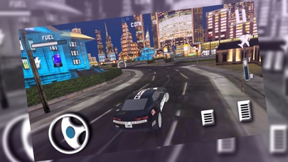 Sports Police Flying Car screenshot 4