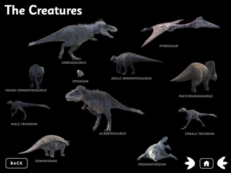 March of the Dinosaurs