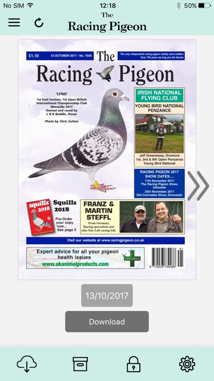 The Racing Pigeon