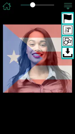 Game screenshot Flag My Picture apk