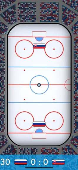 Game screenshot Hockey Blitz mod apk
