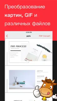 Преобразователь формата айфон картинки 4