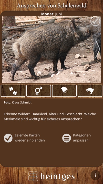Ansprechen von Schalenwild