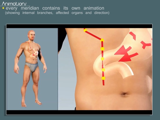 Easy Acupuncture 3D -FULL iPad app afbeelding 4