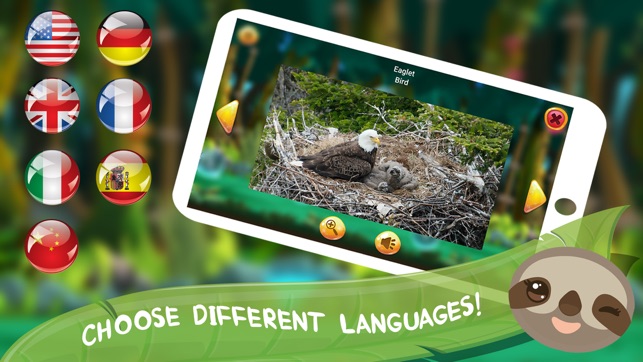 Baby Forest: Animals for Kids(圖5)-速報App