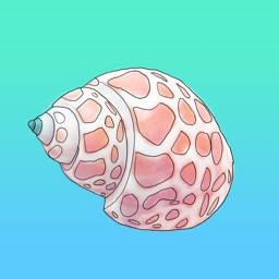 Seashell Sticker Pack