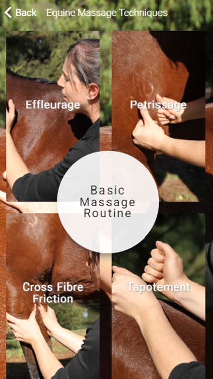 Equestricare Horse Massage screenshot-3