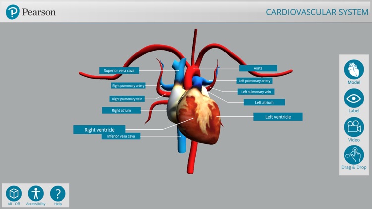 Pearson's Off the Page screenshot-5