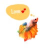 Watercolor Betta Fish Sticker