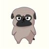 Pug and Poodle Animated - iPhoneアプリ