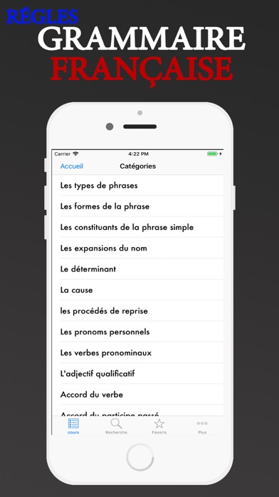 Régles Grammaire française screenshot 2