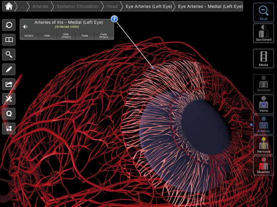 Screenshot #6 pour Essential Eye