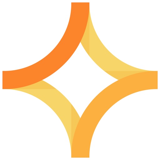 RizePoint Mobile Auditor