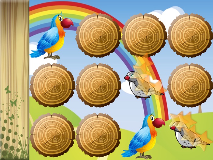 Birds Match Games for Toddlers