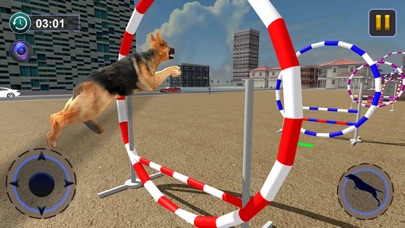 Dog Race & Stunts Wash Thru screenshot 3