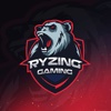 Ryzing Gaming