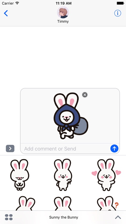 Sunny the Bunny