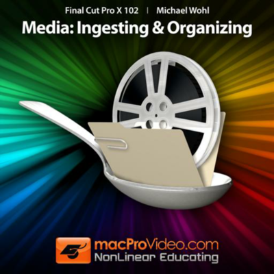 Ingesting and Organizing Media