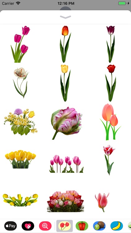 Terrific Tulip Stickers