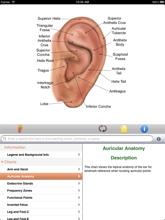 Auriculo HD