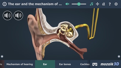 Screenshot #2 pour The mechanism of hearing 3D