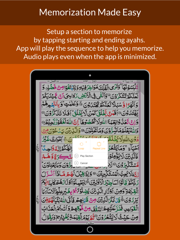Quran 16 Line iPad screenshot 4 - Book app