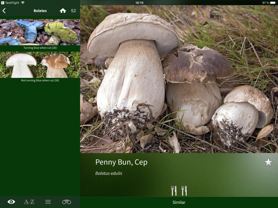 Screenshot #6 pour Mushroom Guide British Isles