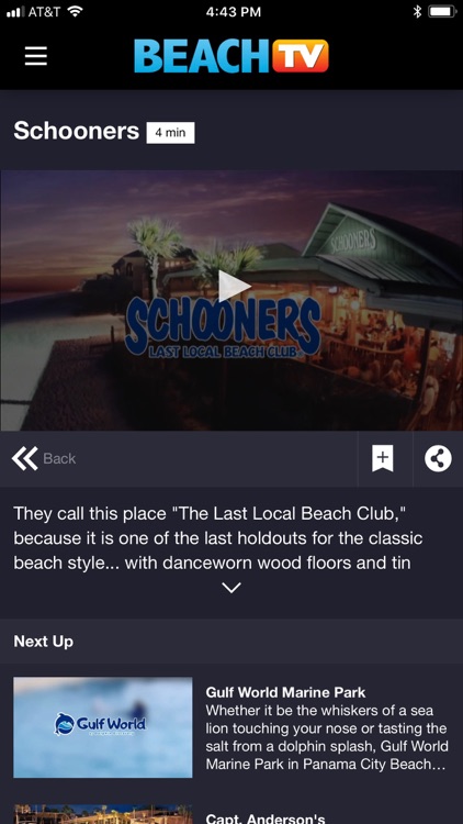 Beach TV - Panama City Beach