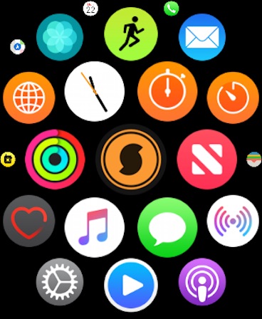 Apple Watch screenshot