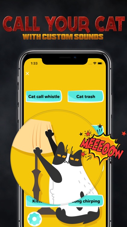 Cat Meow Sound & Whistle Call