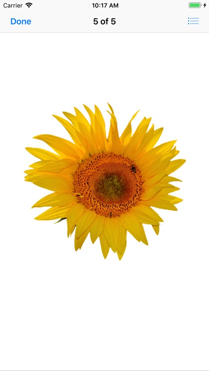 Sunflower Stickers screenshot-5