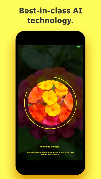 Plant Identification screenshot-4