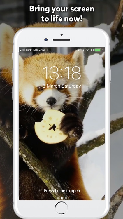 Live Wallpaper Plus screenshot-0
