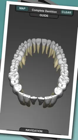 Game screenshot Real Tooth Morphology mod apk