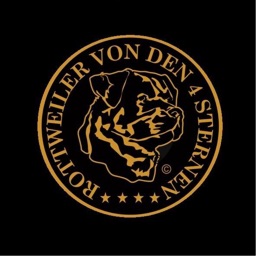 Rottweiler von den 4 Sternen