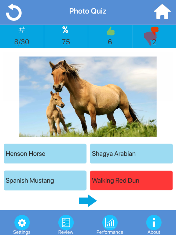 Screenshot #5 pour Horse Breeds Quizzes