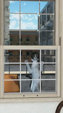 Game screenshot Escape Game:Cats in Italy hack
