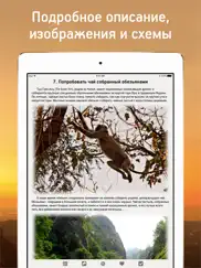 100Вещей которые стоит сделать айпад изображения 3