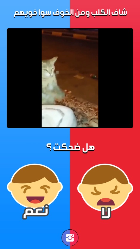 تحدي الضحك - Los usuarios se enfrentan al corazón de la aplicación, observando un video corto y divertido en un reproductor integrado. Directamente debajo, la pregunta "¿هل ضحكت؟" (¿Te reíste?) y los dos botones de reacción con emojis invitan a una interacción sencilla.