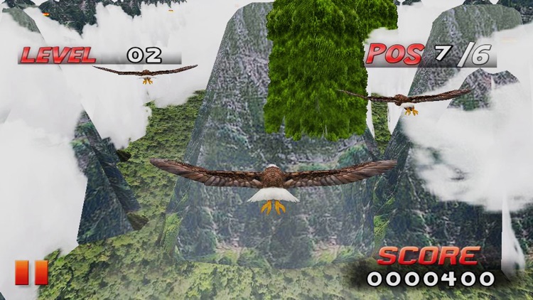 Bird Race 3D