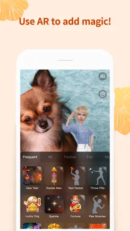 Game screenshot Meing Camera - AR Festival hack