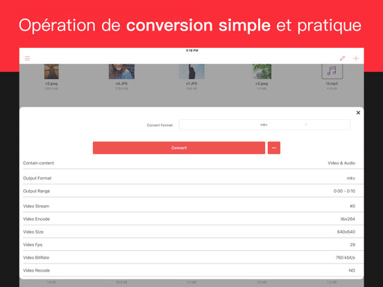 Screenshot #5 pour Convertisseur de format