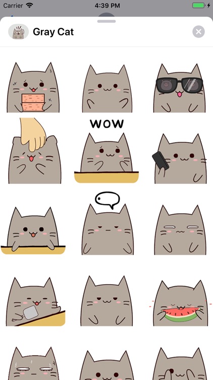 Gray Cat Animated Stickers