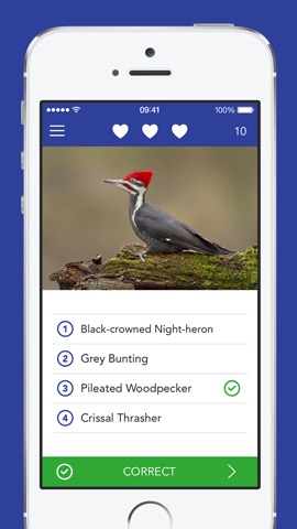 iKnow Birds PRO - USAのおすすめ画像4