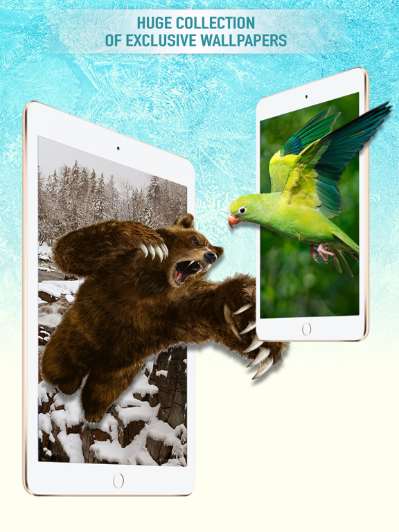 Screenshot #5 pour HD Wallpapers - Cool Backgrounds & Themes