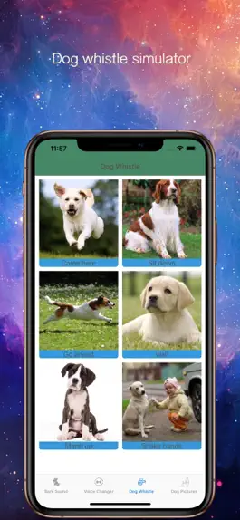 Game screenshot Bark Voice Changer apk