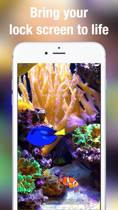 Aquarium Dynamic Wallpapers+ Screenshot